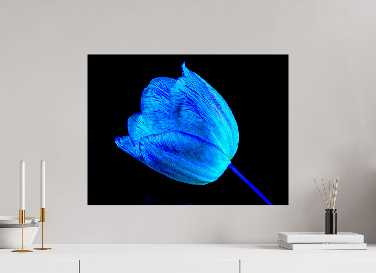 À l’abri de ta lumière - Idealart