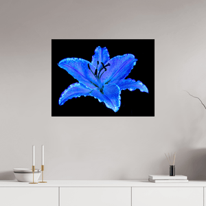 Le Lys Astral - Idealart