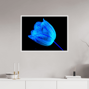 À l’abri de ta lumière - Idealart