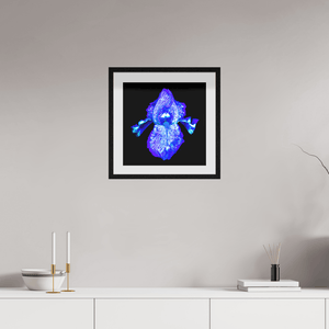 Iris des Profondeurs Lumineuses - Idealart