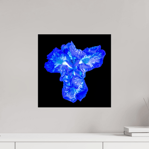 Iris du Cœur Lumineux - Idealart