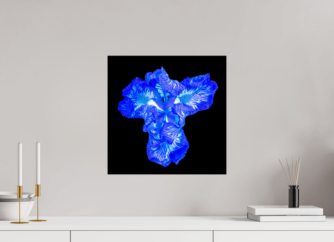 Main image Iris du Cœur Lumineux