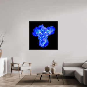 Iris du Cœur Lumineux - Idealart
