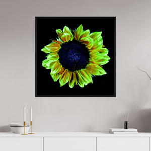 Couronne de lumière - Idealart