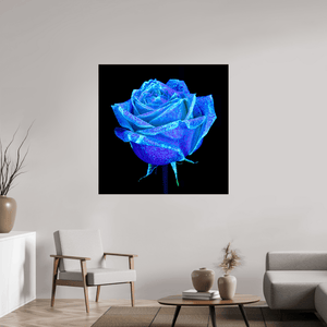 La Rose qui Rêvait le Ciel - Idealart