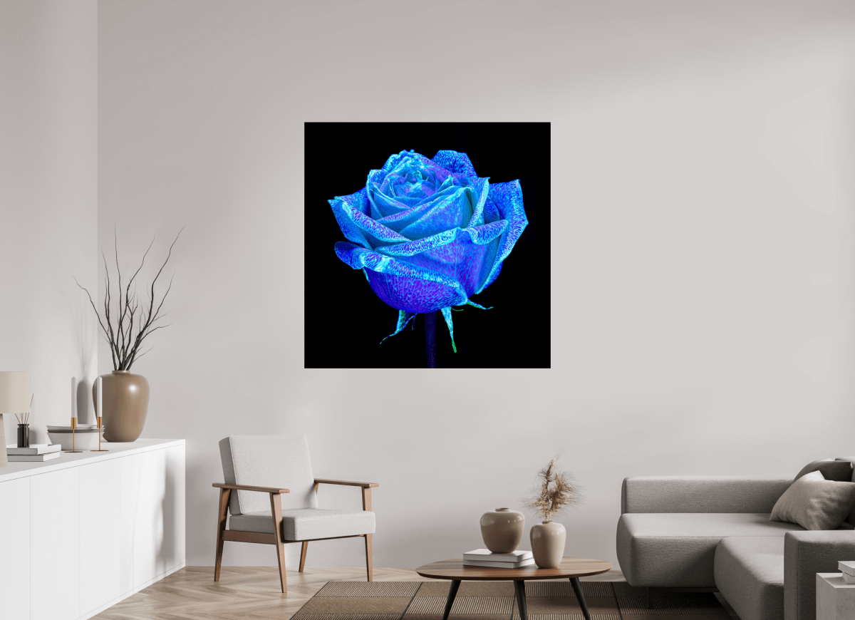 La Rose qui Rêvait le Ciel - Idealart