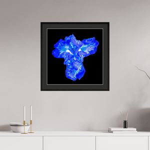 Iris du Cœur Lumineux - Idealart