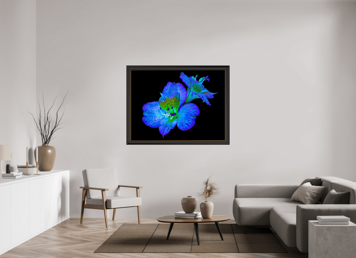 Alstroemeria des Lueurs Cachées - Idealart