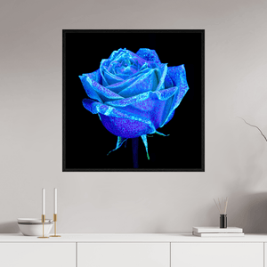 La Rose qui Rêvait le Ciel - Idealart