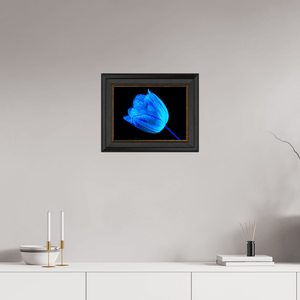 À l’abri de ta lumière - Idealart