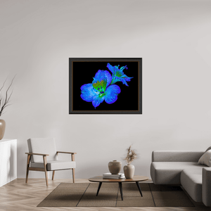 Alstroemeria des Lueurs Cachées - Idealart