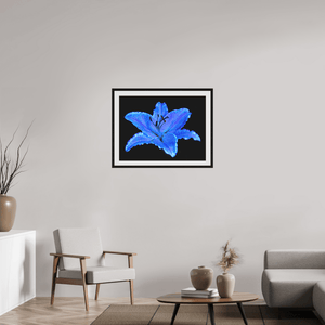 Le Lys Astral - Idealart