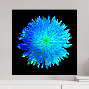 L’Astre Bleu - Idealart