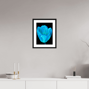 Calice de lumière - Idealart