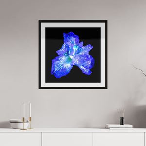 L’Opale des Ombres - Idealart