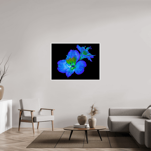 Alstroemeria des Lueurs Cachées - Idealart
