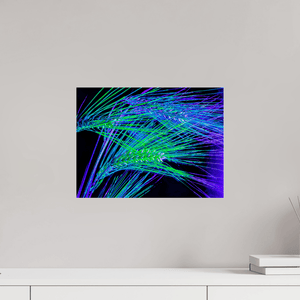 Les Lignes où Court la Lumière - Idealart