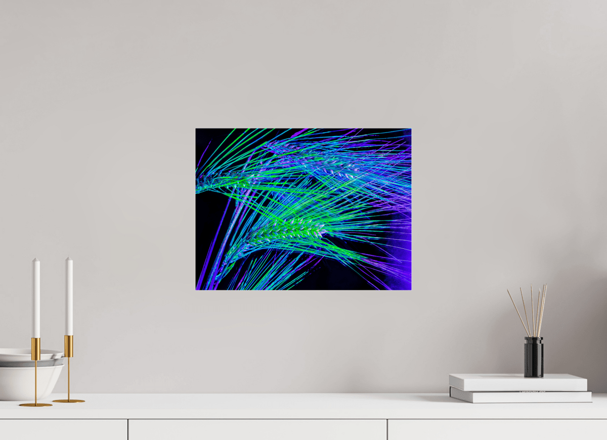 Les Lignes où Court la Lumière - Idealart