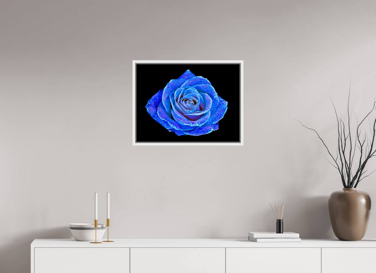 La Rose aux mille constellations - Idealart