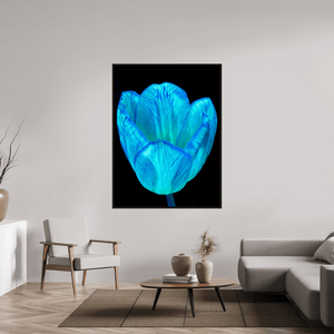 Calice de lumière - Idealart