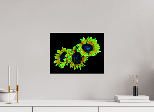 Les gardiens du jour endormi - Idealart