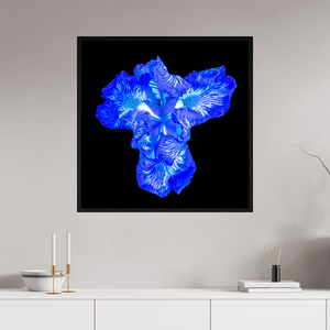 Iris du Cœur Lumineux - Idealart