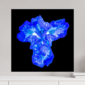 Iris du Cœur Lumineux - Idealart