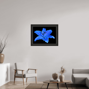 Le Lys Astral - Idealart