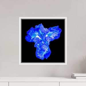Iris du Cœur Lumineux - Idealart