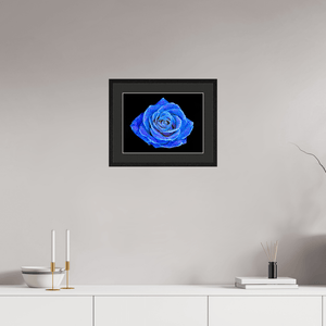 La Rose aux mille constellations - Idealart