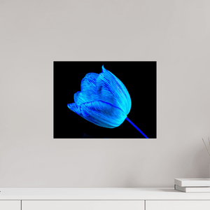 À l’abri de ta lumière - Idealart