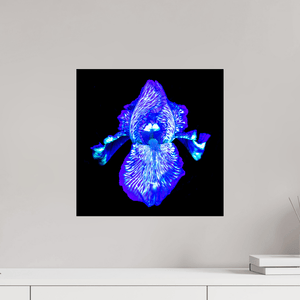 Iris des Profondeurs Lumineuses - Idealart