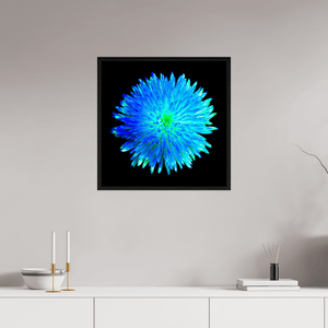 L’Astre Bleu - Idealart