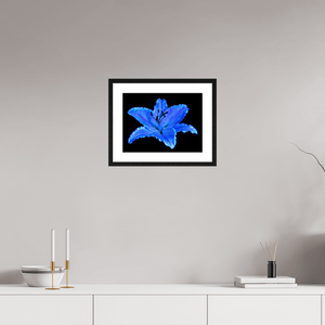 Le Lys Astral - Idealart