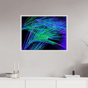 Les Lignes où Court la Lumière - Idealart