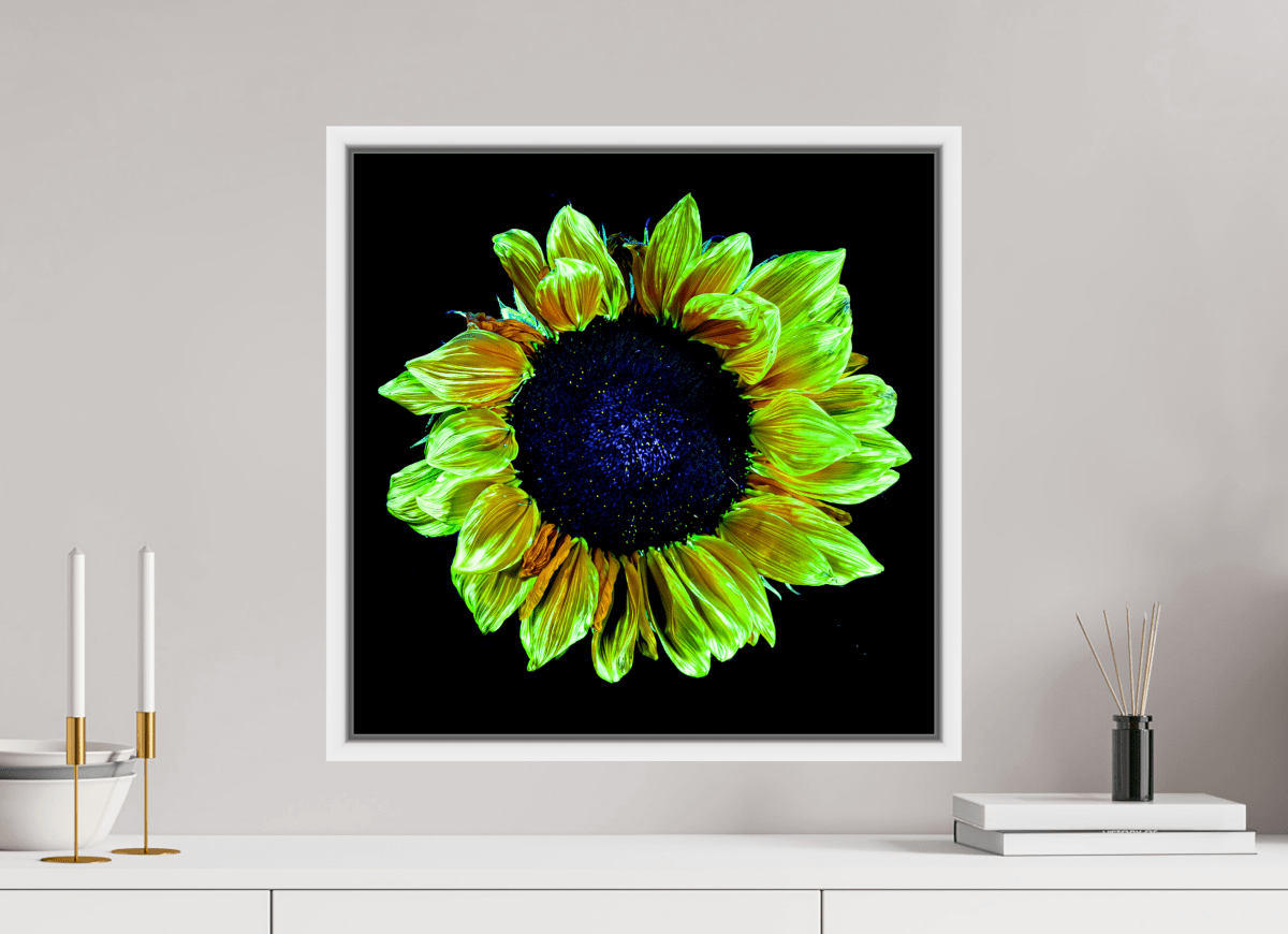 Couronne de lumière - Idealart