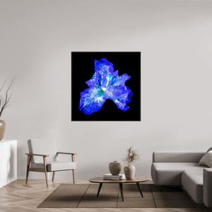 L’Opale des Ombres - Idealart