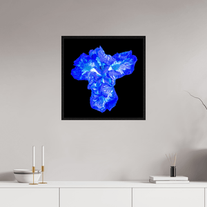 Iris du Cœur Lumineux - Idealart