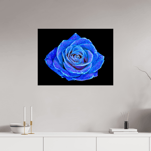 La Rose aux mille constellations - Idealart