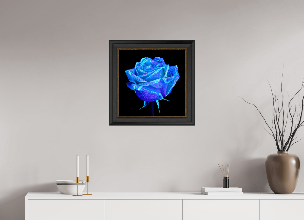 La Rose qui Rêvait le Ciel - Idealart