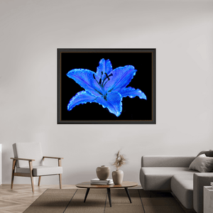 Le Lys Astral - Idealart