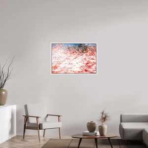 La mer des plumes rouges - Idealart
