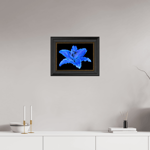 Le Lys Astral - Idealart