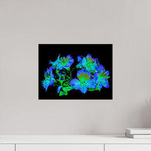 Constellation Florale - Idealart