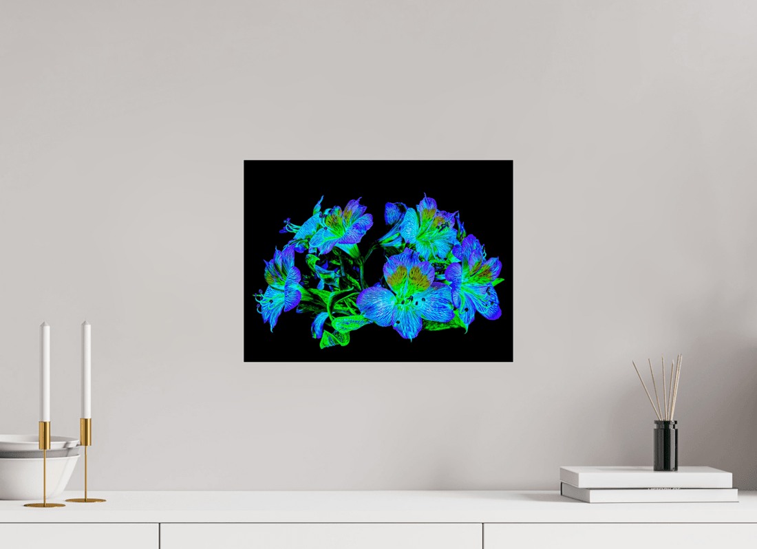 Main image Constellation Florale