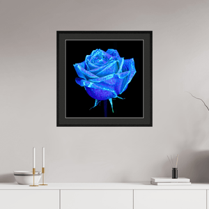 La Rose qui Rêvait le Ciel - Idealart