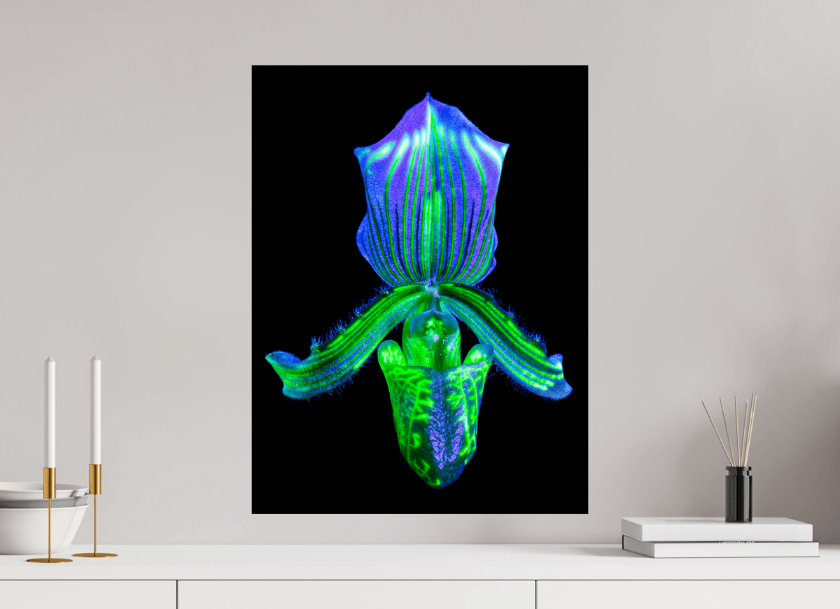 L’Éclat Secret du Désir - Idealart