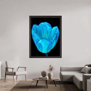 Calice de lumière - Idealart