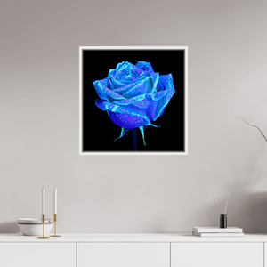 La Rose qui Rêvait le Ciel - Idealart