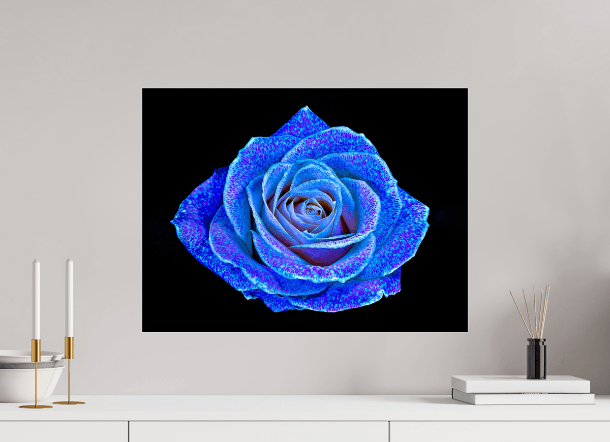 La Rose aux mille constellations - Idealart